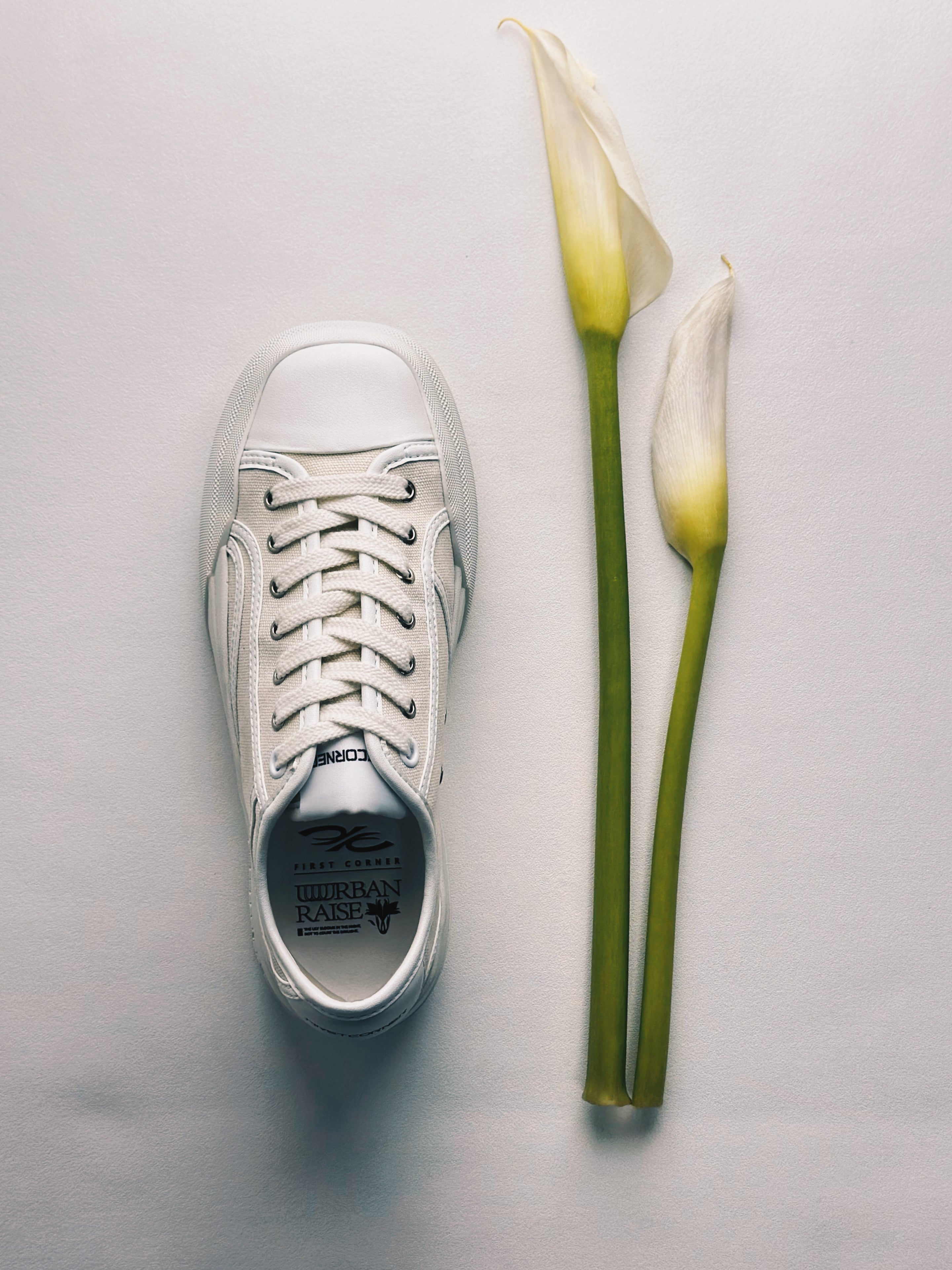 URBAN RAISE - Cloud Cream